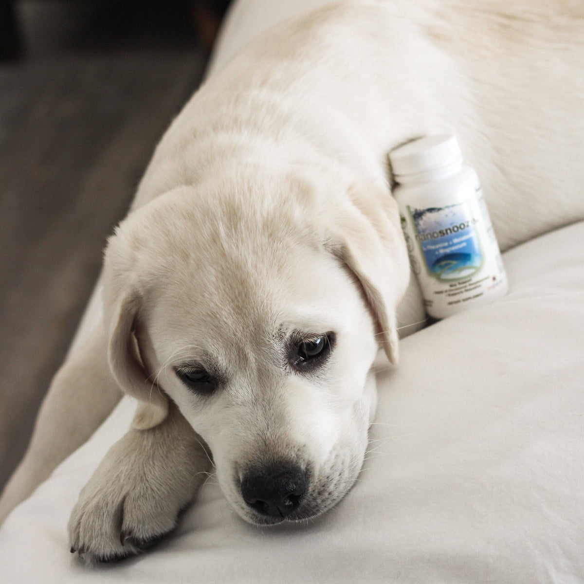 nanosnooze: capsules biopharmasci
