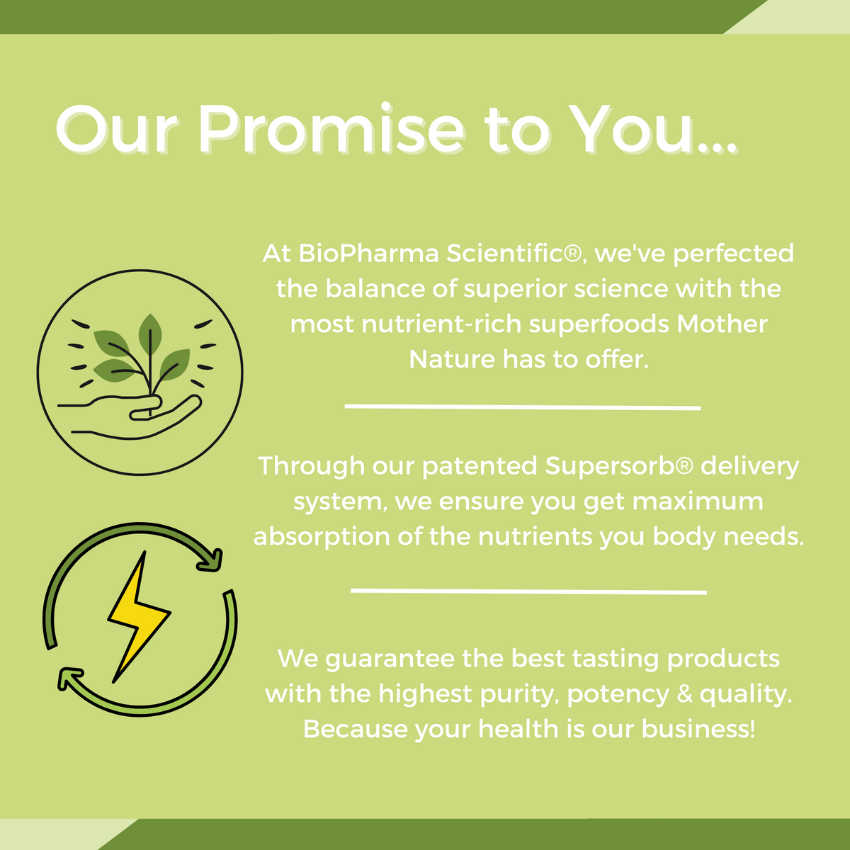 nanoreds: natural berry biopharmasci